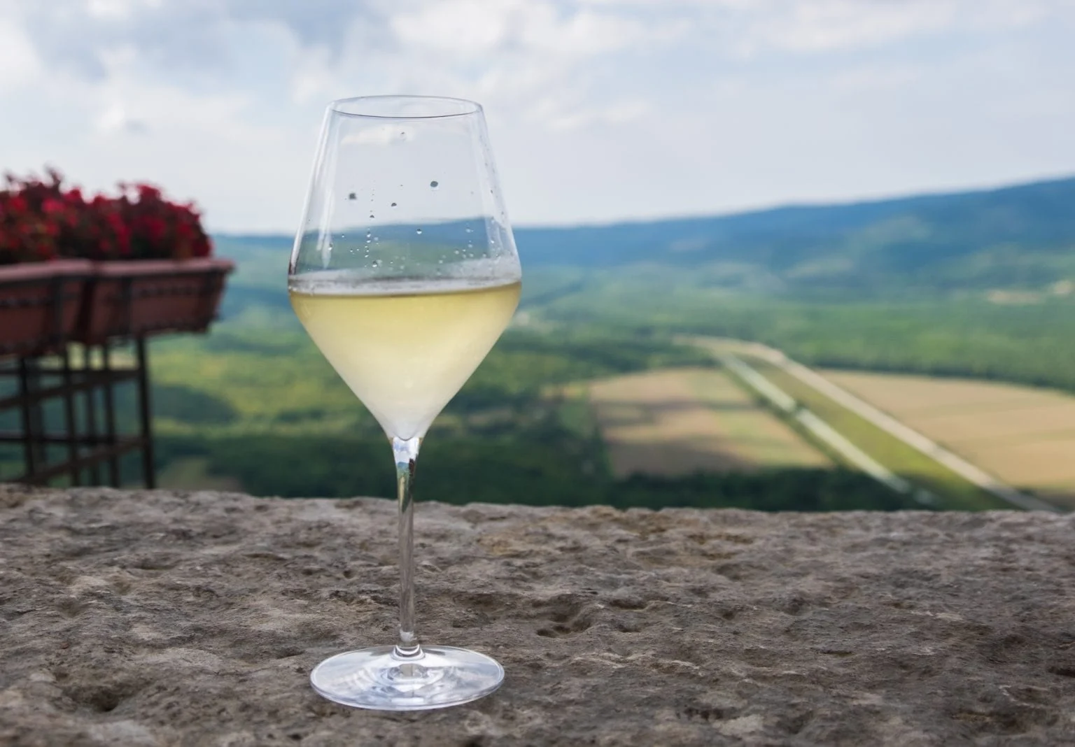 Istrian wine